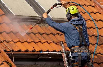 Démoussage et hydrofuge de toiture à Lanrigan